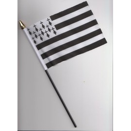 France Brittany Hand Flag 25cm