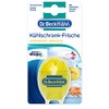 Dr. Beckmann mister Magic Fridge Freshness Absorbs Odours 40 g