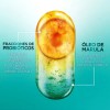 Shampoo Garnier Fructis Probióticos Fuerza 350 ml
