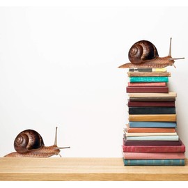 60 Second Makeover Limited Full Colour Snail Wall Sticker Decals Set of 2 Querky Wall Art Tattoo Nature Snails