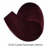 Color Tech Tinte Recargado R.522 Caoba Nacarado Intenso 90g