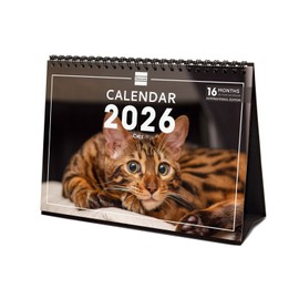Finocam - Desk Calendar 2026 Month to View January - December 2026 + Sept - Dec 2025 (4 Months) Reduced | Calendar 2026 | Pictures Cats - International
