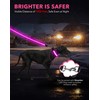 Weesiber Light Up Dog Collar, USB Rechargeable LED Dog Collar