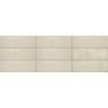 Daltile Mythology 4" x 12" Ceramic Wall Tile in Glossy