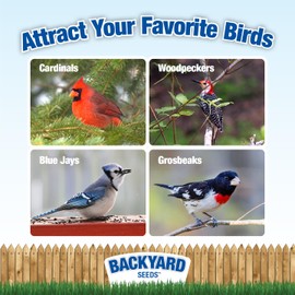 Backyard Seeds Striped Sunflower for Cardinals, Blue Jays Bird Seed (3 Pounds)