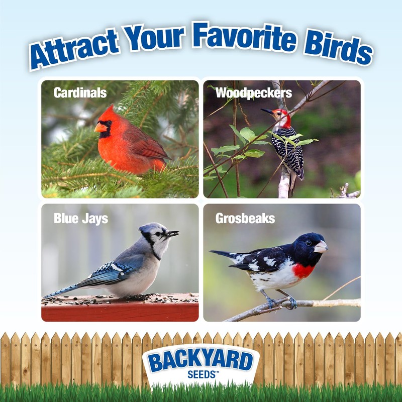 Backyard Seeds Striped Sunflower for Cardinals, Blue Jays Bird Seed