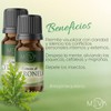 MEVA Esencias para Difusores y Humidificadores de Aromas 5ml Varios