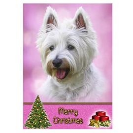 Westie/West Highland Terrier Dog Christmas Card 'Merry Christmas' - Special Animal Xmas Card for Him Her from Pets Kids