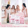 Motiskyy 50 Pcs Cherry Party Favors Bags She's the Cherry