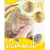 Cat Steam Brush for Shedding Cat Gifts for Cat Lovers