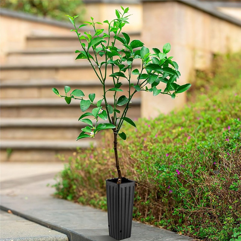 HANABASS 50Pcs 12 Inch Deep Tree Pots Flower Seedling Tall