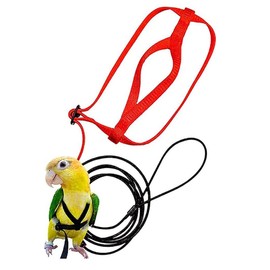 Pet Parrot Bird Harness and Leash, Adjustable Outdoor Flying Traction Straps Band Adjustable Anti-Bite Training Rope(L)