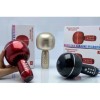 Portable Karaoke Microphone Bluetooth Wireless Speaker with Echo Effect for
