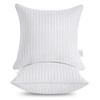 Oubonun 24 x 24 Throw Pillow Inserts, Firm and Fluffy