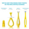 Frida Baby Frida Baby Training Toothbrush for Toddlers (Pack of