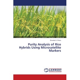 Purity Analysis of Rice Hybrids Using Microsatellite Markers