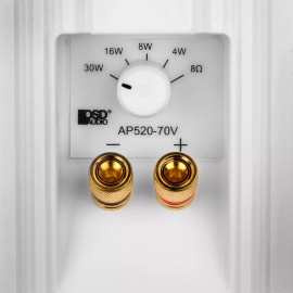 OSD Audio AP520 5.25" Outdoor White Patio Speaker Pair 120W, IP54 Weather Resistant Pair
