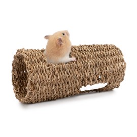 Niteangel Creative & Composable Hamster Tunnel - DIY & Build Unique Tube Burrow as Hideout for Small Sized Animals Like Hamsters Mouse Gerbils Mice (7.5-inch L - HC)