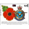 RAF Royal Air Force Veteran Poppy Car Window Sticker -