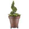 Arcadia Garden Products 1558 16" Basic Plant Caddy, 16 Inch