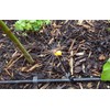 adjustable 360 degree sprinkler heads,screw onto riser tubes or into