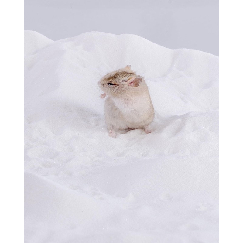 Niteangel Hamster Desert Bath Sand | No-Dust Bath or Potty