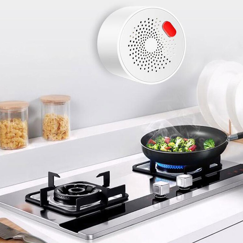 WiFi Gas Alarm Plug in Combustible Gas Detector for Tuya