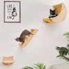 Cat Shelf for Wall Hammock Climbing Shelves and Perches Solid