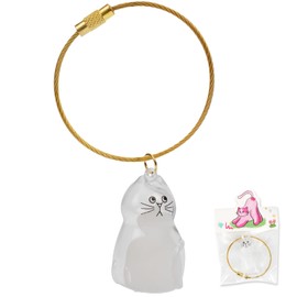 LALXUIEYC Cat Hair Storage Keychain: Pet Fur Keepsake Collector, Dog Transparent Pendant Memorial Bottle, Cat Lover Collecting Gift (Handlebar Mustache Cat)