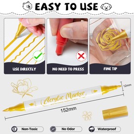 WINSONS Golden Acrylic Paint Pens, Colouring Pens, Marker Pens With Dual Tip Fine And Brush, Waterproof, Non-Toxic, Odorless, For Multiple Surfaces, 12 PCS