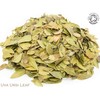 Organic Uva Ursi Leaf Pure Herbal Infusion (25 Unbleached Tea