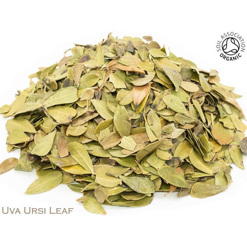 Organic Uva Ursi Leaf Pure Herbal Infusion (25 Unbleached Tea