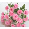 TBUY ROSE 5 Pack Artificial Flowers Bulk Small Carnation Fake