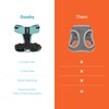 Gooby Comfort X One Dog Harness - Head-in Dog Harness