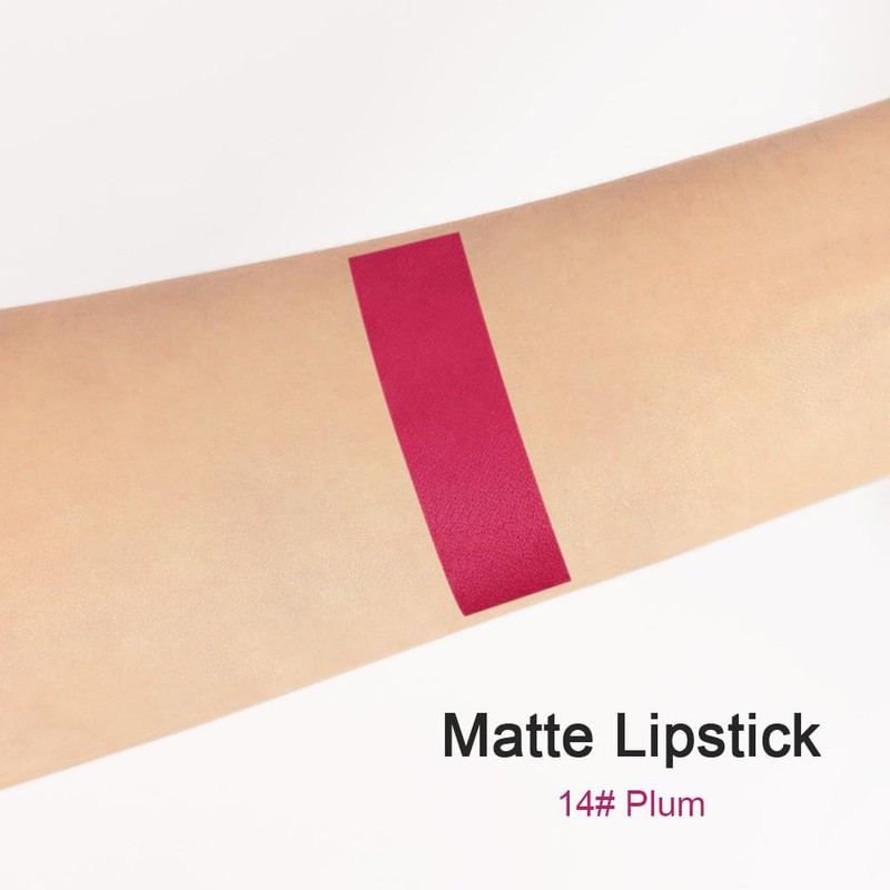 BINGBRUSH Smooth Longwear Lipstick Pack Set, Matte Color Stick Ultimate