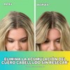 OGX, Shampoo Extra Fuerte de Tea Tree y Menta, 385