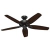 Hunter Fan Company 53294 Builder Elite Versatile Indoor/Outdoor 52 Inch