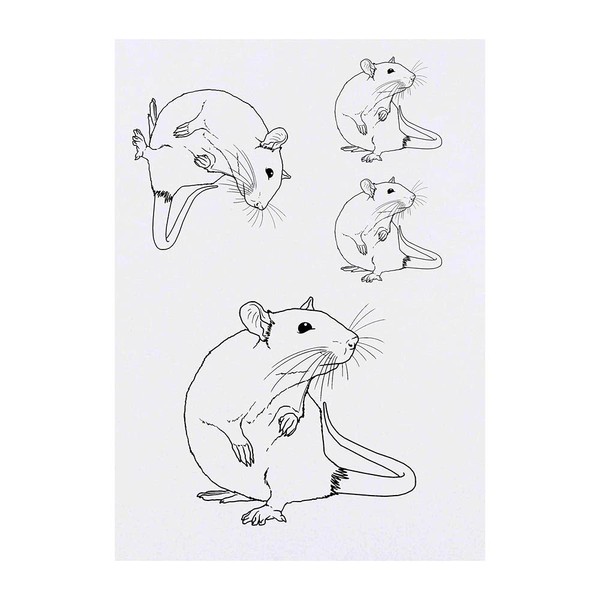 Azeeda 4 x 'Schnüffelratte' Temporäre Tattoos - Wasserfest, Hautfreundlich &