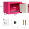 HF Pink Small Safe Box for Money - 0.23CF Mini