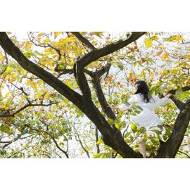 Tomorrow, I Am Climbing on the Persimmon Tree Feminine Wash 11.8 fl oz (350 ml)