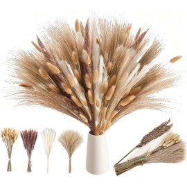 100 Piezas de Pampas Decorativas, Colas de Conejo de Hierba Natural, Plantas Secas para Decoración de Jarrones y Ramos, Varios Tonos