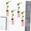 Alipis Decorative Wall Hanging Propagation Stations 2 Sets of Test
