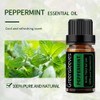 GREENSLEEVES Essential Oil - 10ml (Peppermint)