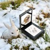 PCS Paw Print Kit, Dog Paw Print Kit Keepsake, Paw