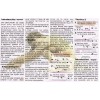 Depilador En Frío Cap Depilatory 250 Grs. Paquete Con 2