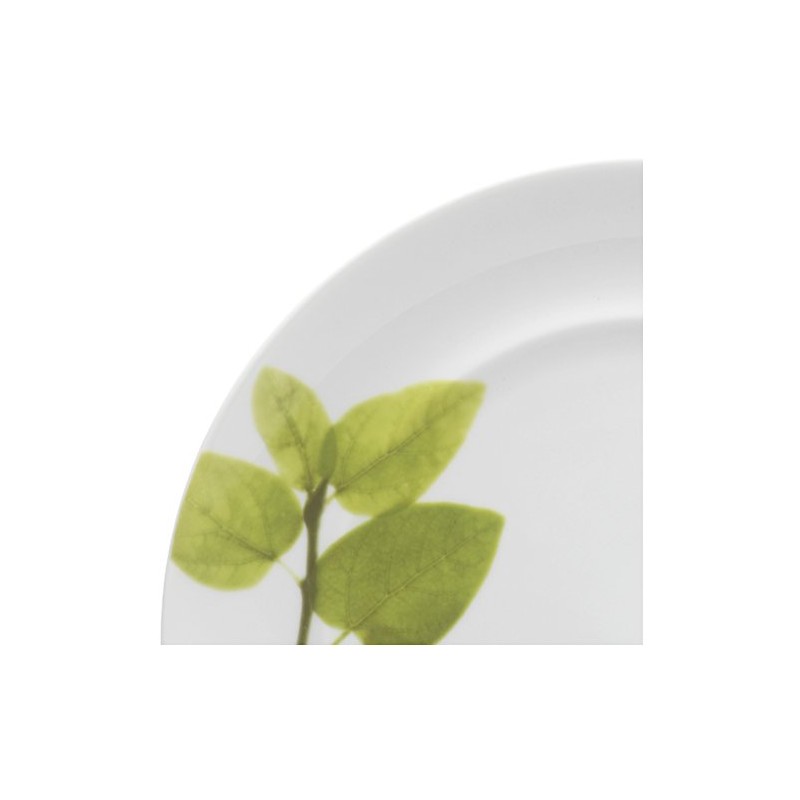 Mikasa Daylight Dinner Plate, 11-Inch