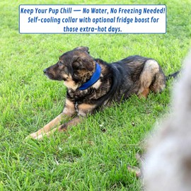 ANDINUS Dog Cooling Collar 45cm Automatic Cooling Gel No Freezing Dark Blue 7cm Wide Relieves Heat and Keeps Your Pet Cool