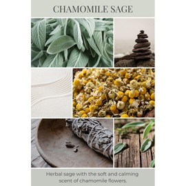 Eco Candle Co. Reed Diffuser Set, Chamomile Sage, 4 oz. - Scents of Sage & Chamomile - Premium Phthalate Free Fragrance and Essential Oil Blends, Clear Glass, 12 Reed Sticks, Recycled Kraft Box