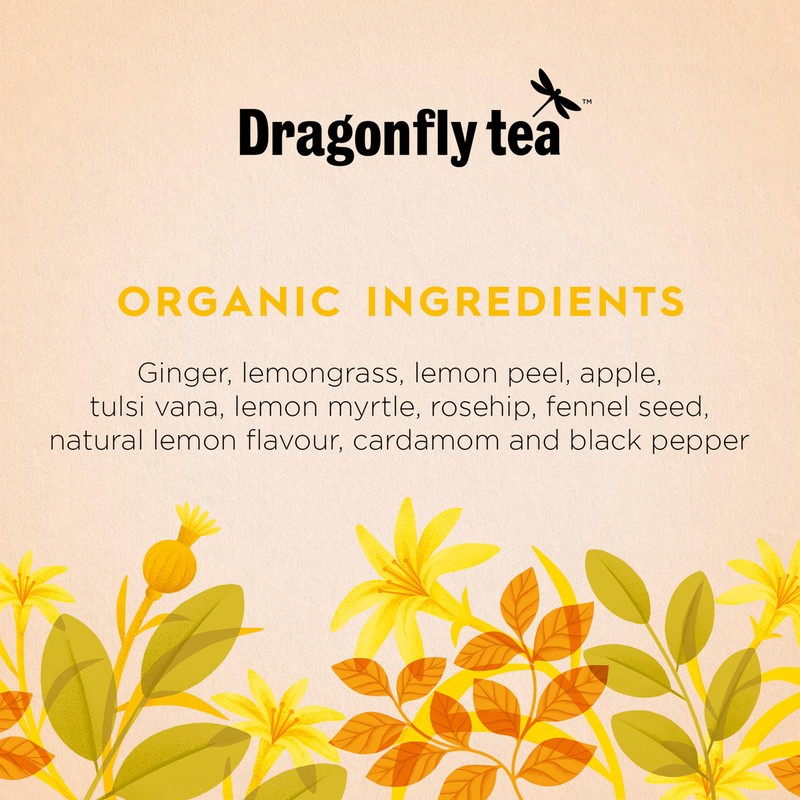 Dragonfly Lively Lemon and Ginger Tea, 4 x 20 Organic