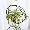 SCSFCVIUS Air Plant Hanging Holder Planter - Plant Hanger Display